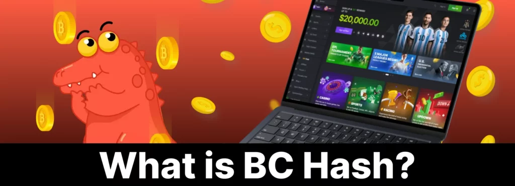 BC Hash platform